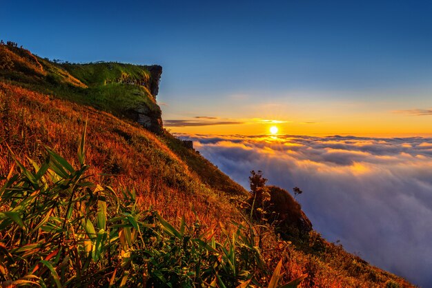 Phu chi fa and mist at sunrise in Chiang rai province,Thailand