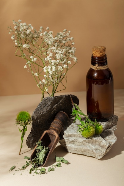 Phytotherapy items assortment still life