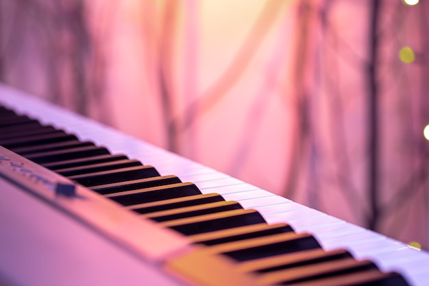 Free photo piano keys on a beautiful colored background. close up.