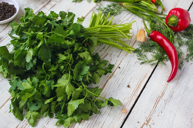 Pickles on white wooden table with green and red and chili peppers, fennel, salt, black peppercorns, garlic, pea, close up, healthy concept, top view, flat lay