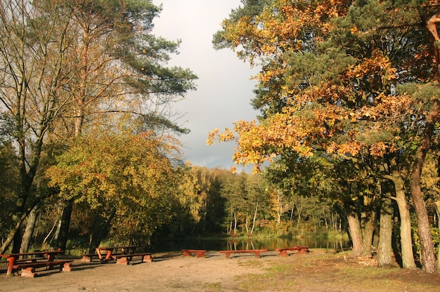 Free Photo picnic area