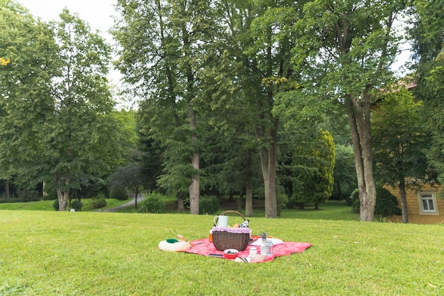 Free photo picnic basket on the grass field