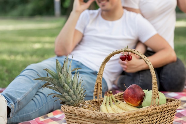 Free Photo picnic basket with fruits close view