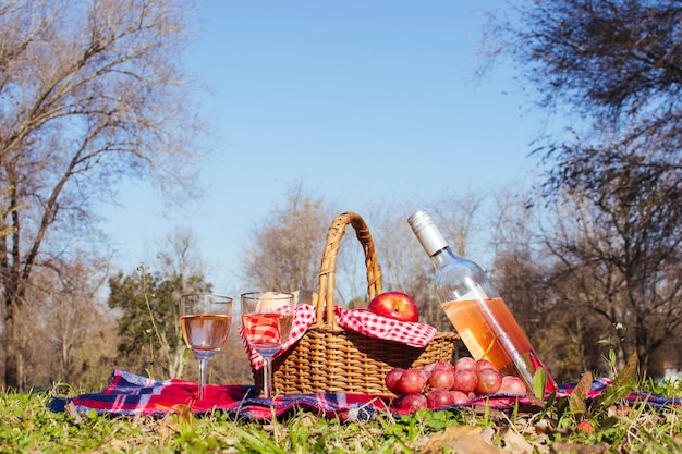 Picnic basket with two glasses of wine