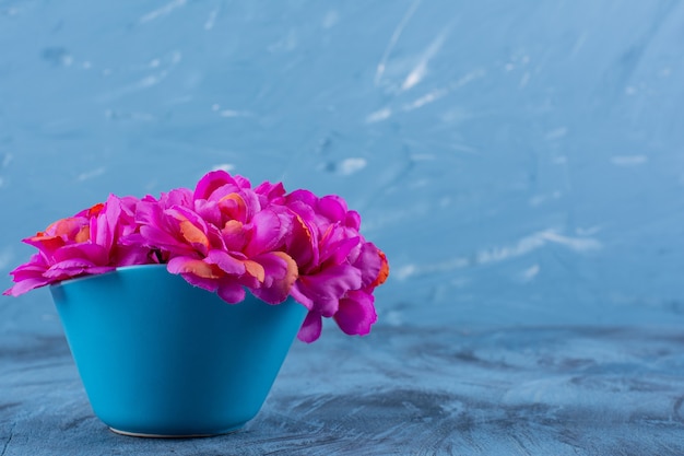 Free photo picture of beautiful purple flowers in a vase on blue.