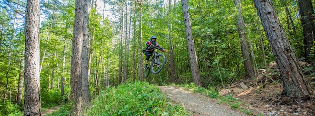 Free photo picture of a cyclist surrounded by foliage trees in the woods