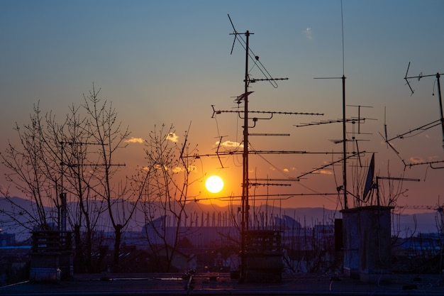 Free photo picture of tree and tv antenna silhouettes on the roof during the sunset in zagreb in croatia