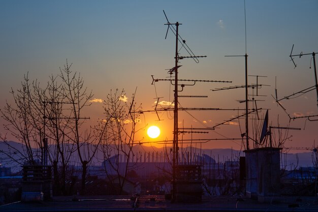 Picture of tree and tv antenna silhouettes on the roof during the sunset in Zagreb in Croatia