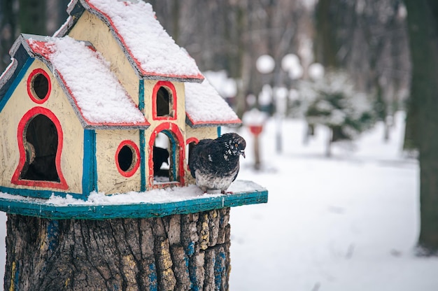 Free photo pigeon near a bright wooden feeder in the winter forest