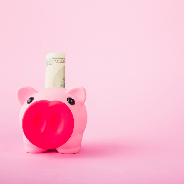 Piggy bank with cash on pink background