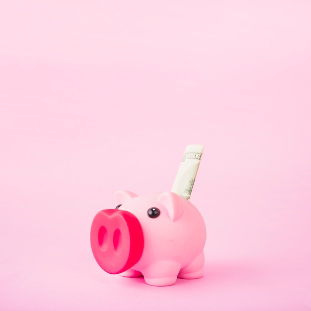 Free photo piggy bank with money on pink background