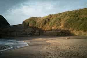 Free photo piha gap in late evening light