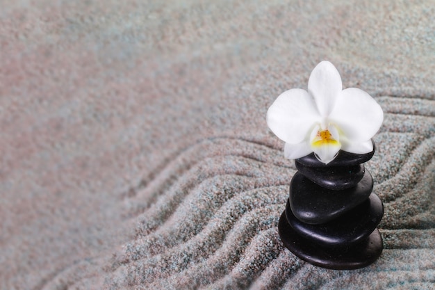 Free photo pile of black stones with orchid on top