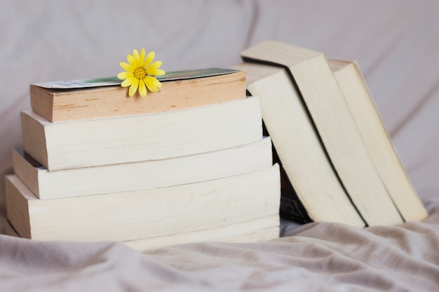 Free Photo pile of books with flower on top