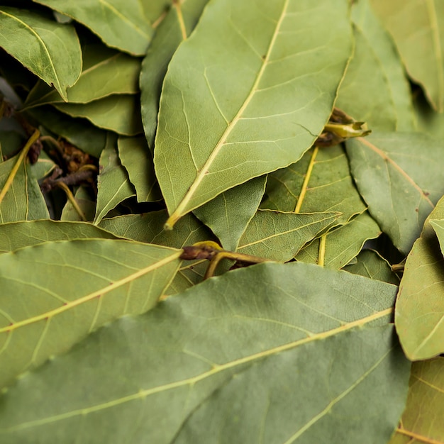 Free photo pile of dry laurel leaves