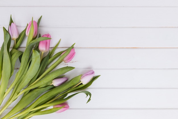 Pile of fresh pink tulips on white