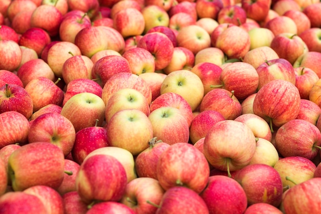 Pile of red fresh apple fruit