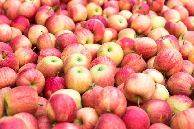 Pile of red fresh apples