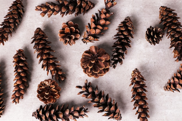 Free photo pine cones background