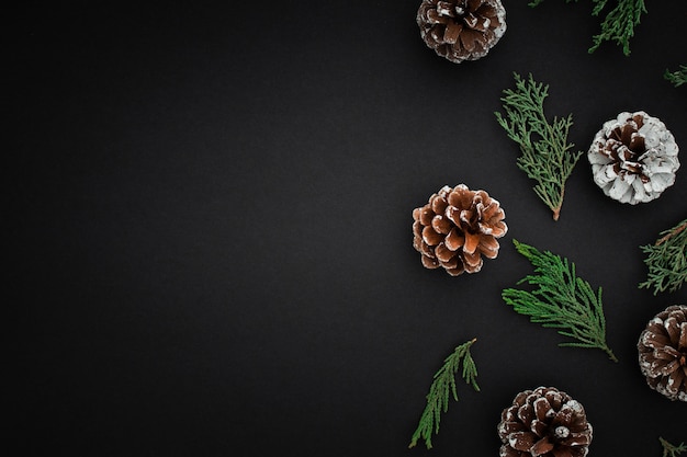 Pine cones and branches on dark background