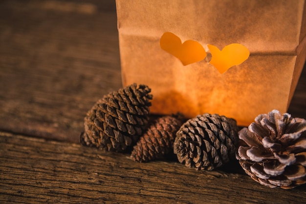 Free photo pine cones in front of a paper bag