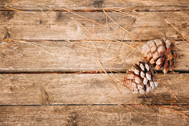 Pine cones on wooden texture