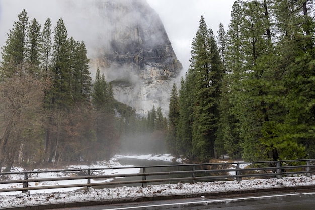 Free photo pine trees and river on a foggy day in yosemite national park