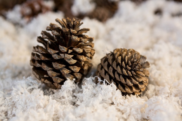 Free photo pinecone on fake snow