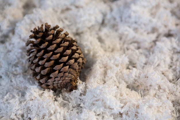 Free photo pinecone on fake snow