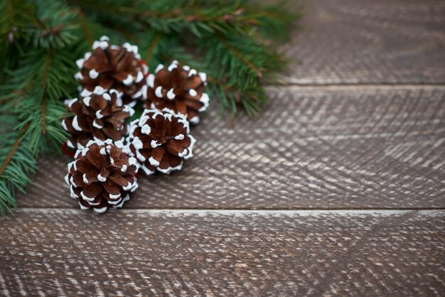 Pines decorated with snow pattern