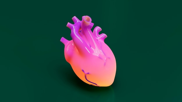 Pink anatomical heart with green background