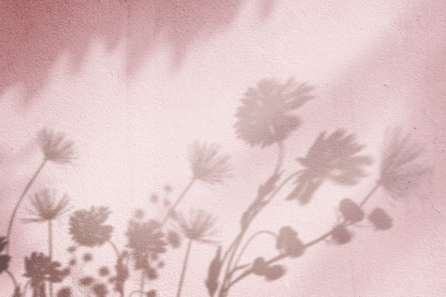 Free photo pink background with floral field shadow