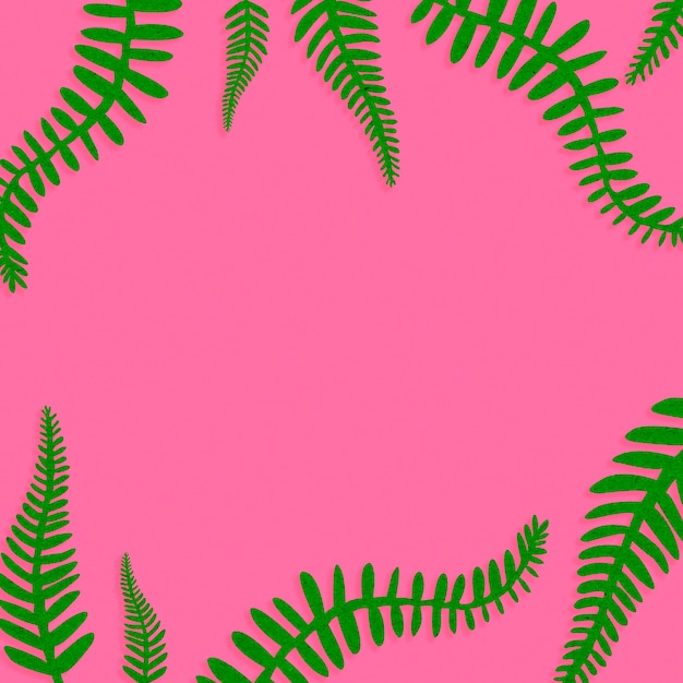 Free photo pink background with green leaves