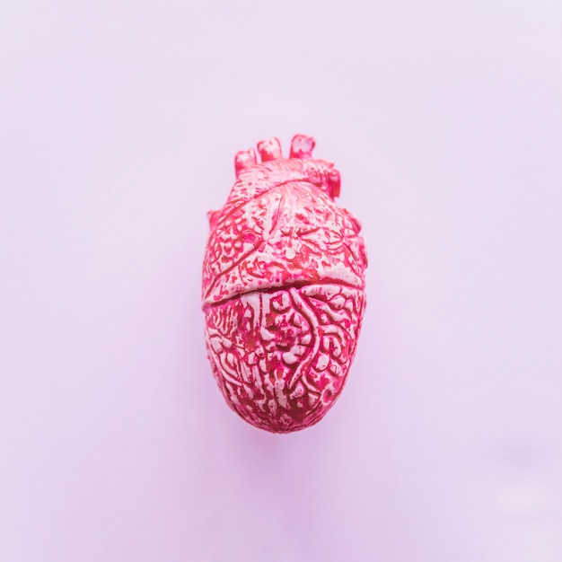 Free Photo pink ceramic human heart on table 