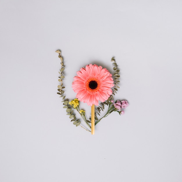 Free Photo pink flower bud with small branches on table