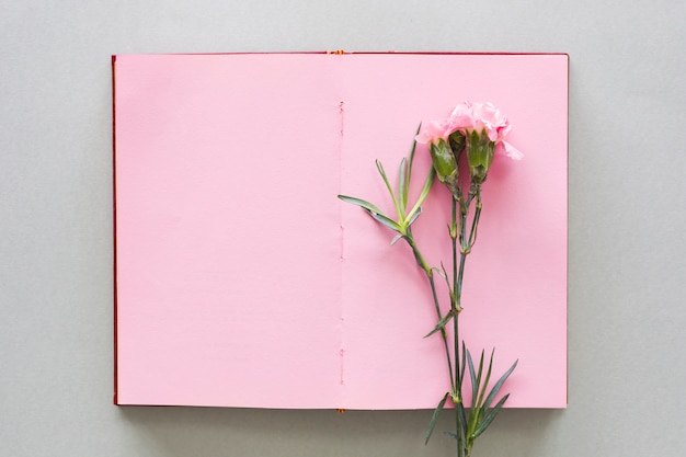 Free Photo pink flower on notebook on table 