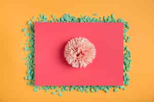 Free photo pink flower on pink rectangle with rocks