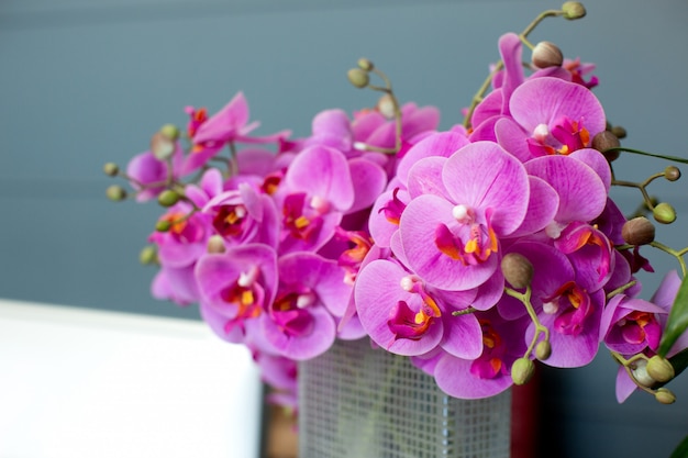 Free photo pink flowers in the basket