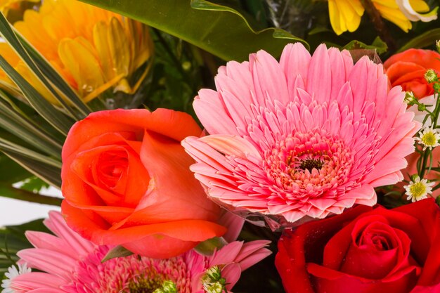 Pink flowers close up