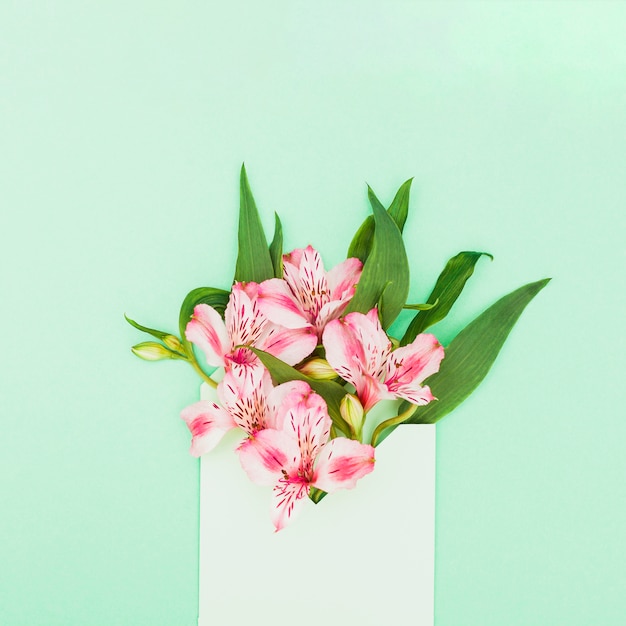 Free photo pink flowers in envelope on table