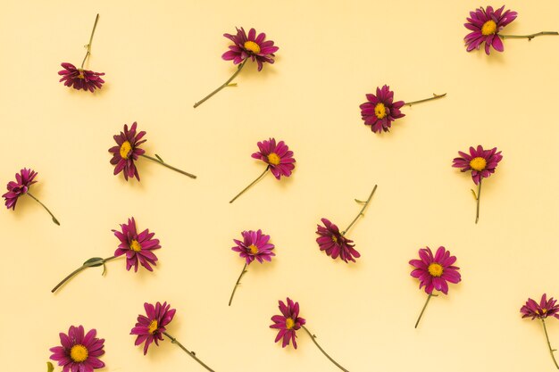 Pink flowers scattered on table