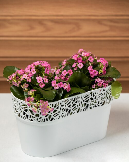 Pink flowers on the table