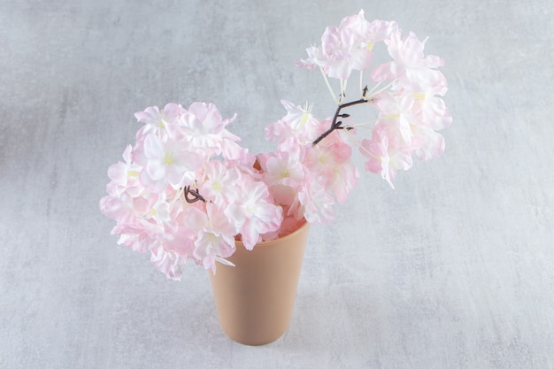 Free photo pink flowers in a vase , on the white background.