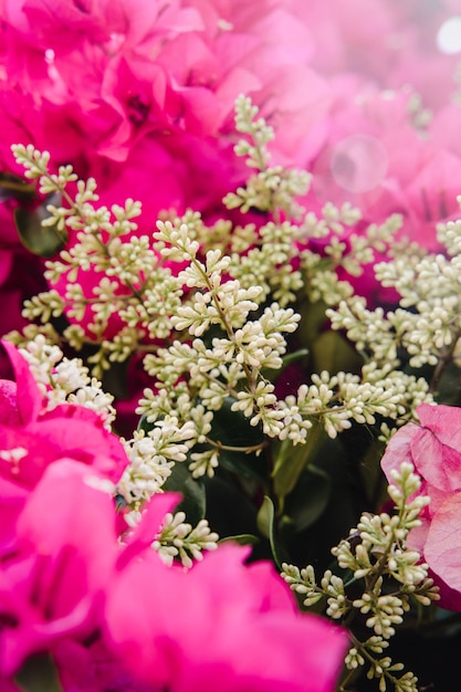 Free photo pink flowers with green leaves