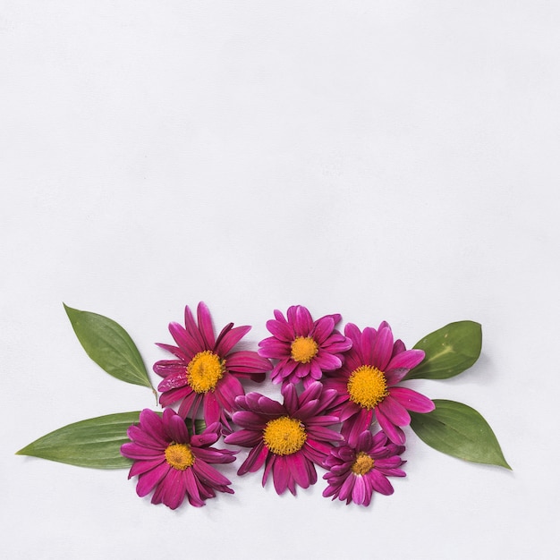 Pink flowers with leaves on table