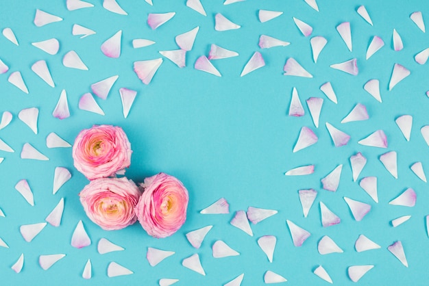 Free Photo pink flowers with petals around