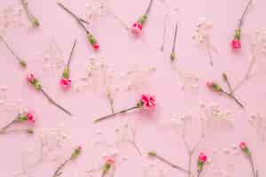 Free photo pink flowers with plant branches on table