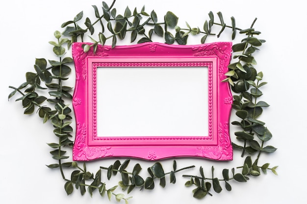 Pink Frame Green Leaves Vintage Background