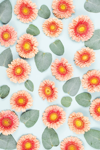 Free photo pink gerbera flowers and leave pattern on blue background