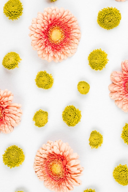 Free photo pink gerbera and yellow flower on white background